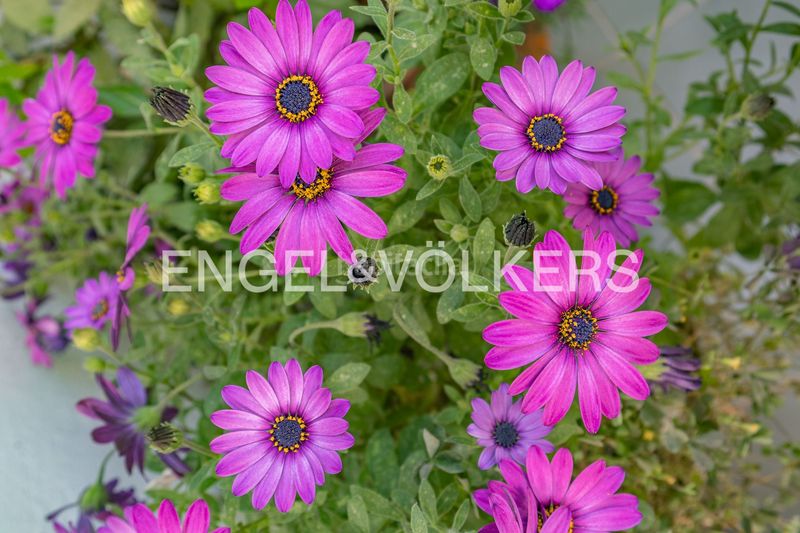 Foto f23d7765-be75-4453-97a4-c7db88127d1f. Dúplex viva con distinción piso moderno de 3 dormitorios con terraza y balcón, edificio 2019 con ascensor, accesible y seguro, a en Rubí