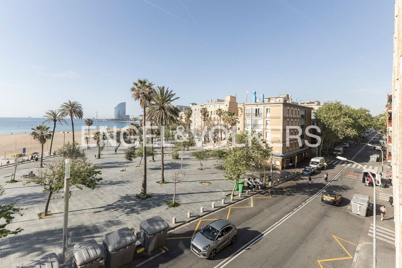 Foto 8efb4d09-0a59-43d6-bf0f-9fb9f48f2761. Pis amb calefacció a Barceloneta Barcelona