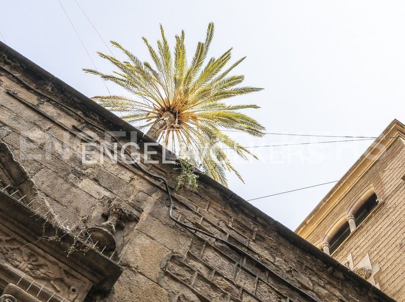 Foto 847638a7-550c-47ac-9336-0e9206439606. Pis amb calefacció a Gòtic Barcelona