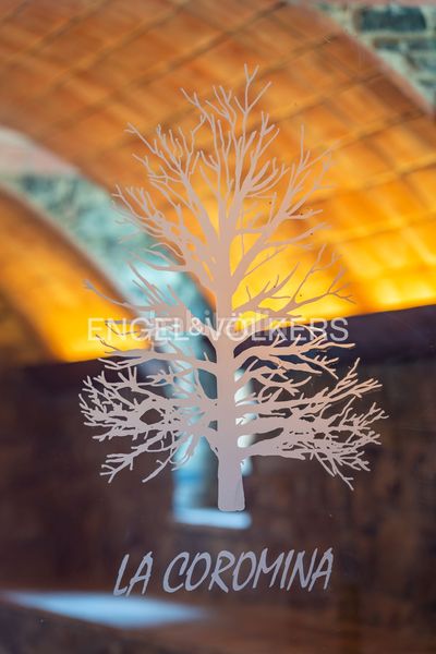 Foto 43c20166-f012-447e-9fea-e7fd5eb1524e. Casa amb calefacció a Vall de Bianya (La)