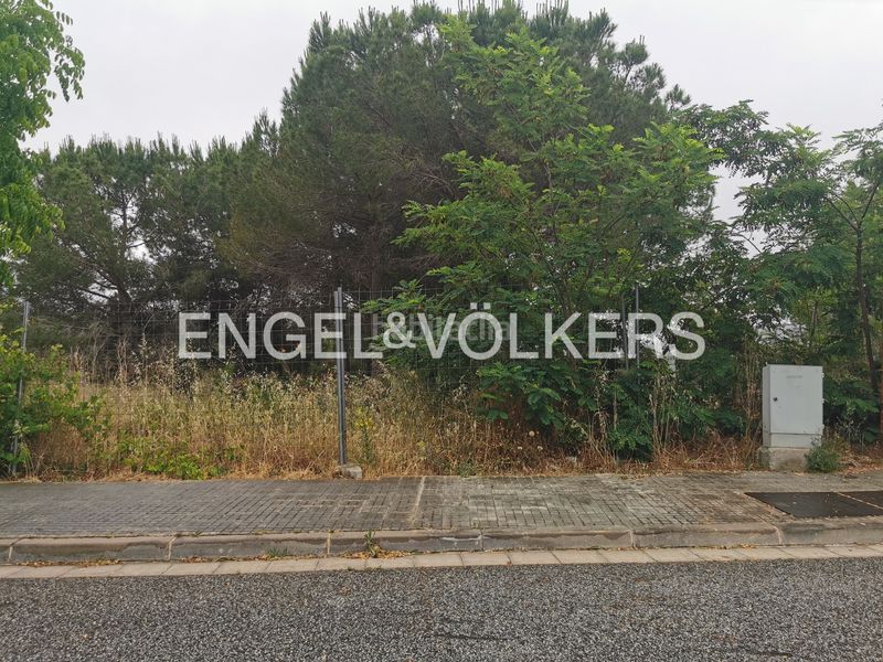 Foto 546b30ff-6814-4e8c-b6b4-a35fc8fb32ca. Terreny residencial a Begues