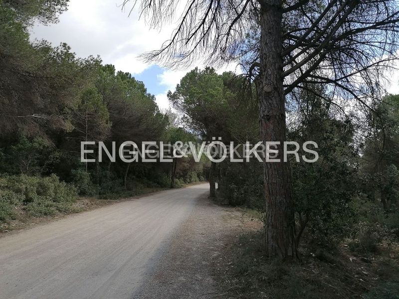 Foto c5e1af54-3d96-4a93-a634-2e4b53b7ec95. Terreny residencial a Begues