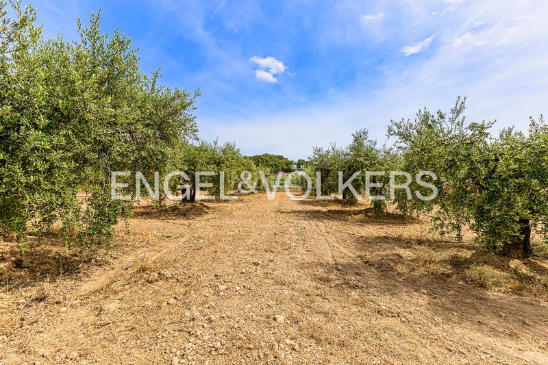Foto 3ebbc699-ae09-47df-aa3f-d46750babc80. Casa amb calefacció a Torrelles de Foix