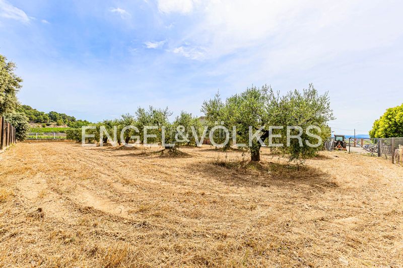 Foto 5f154c41-f9c9-4d90-a0ee-805009a5bed0. Casa amb calefacció a Torrelles de Foix