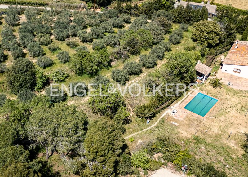 Foto 6a1dbdfb-60b8-46a4-a282-fd06b1268f9e. Masía exclusiva finca rústica con olivar y masia en corró damunt en Franqueses del Vallès (Les)
