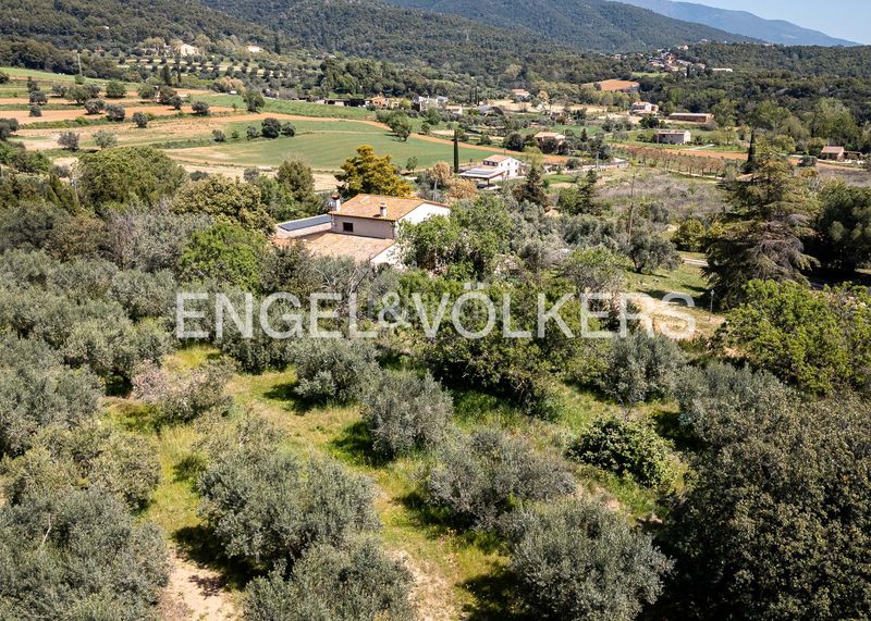 Foto c9ac0451-fd09-4931-bdc1-32ba45d05bbb. Masía exclusiva finca rústica con olivar y masia en corró damunt en Franqueses del Vallès (Les)