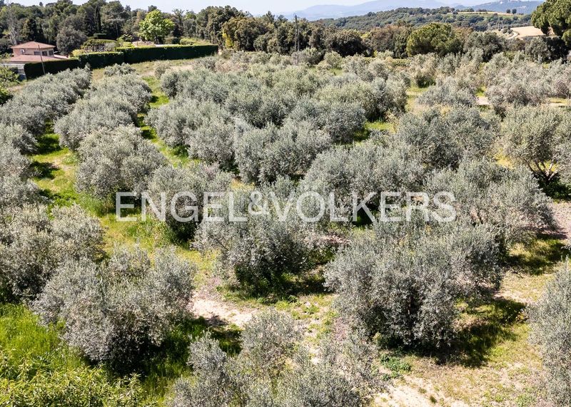 Foto d4c4e965-7a41-4bbb-b689-8704deb2c1ed. Masía exclusiva finca rústica con olivar y masia en corró damunt en Franqueses del Vallès (Les)