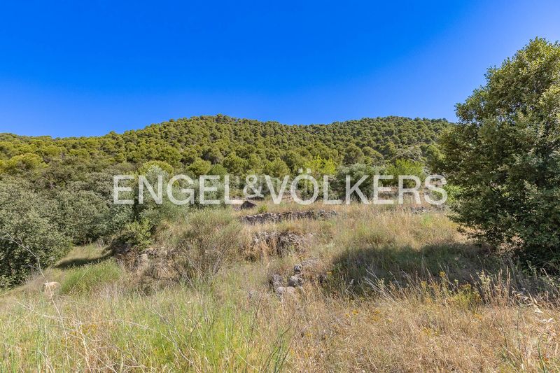 Foto 55443ffd-4bf2-4ae5-a6ba-358743373d32. Masía masia con licencia de obras y vistas al castillo en Cardona