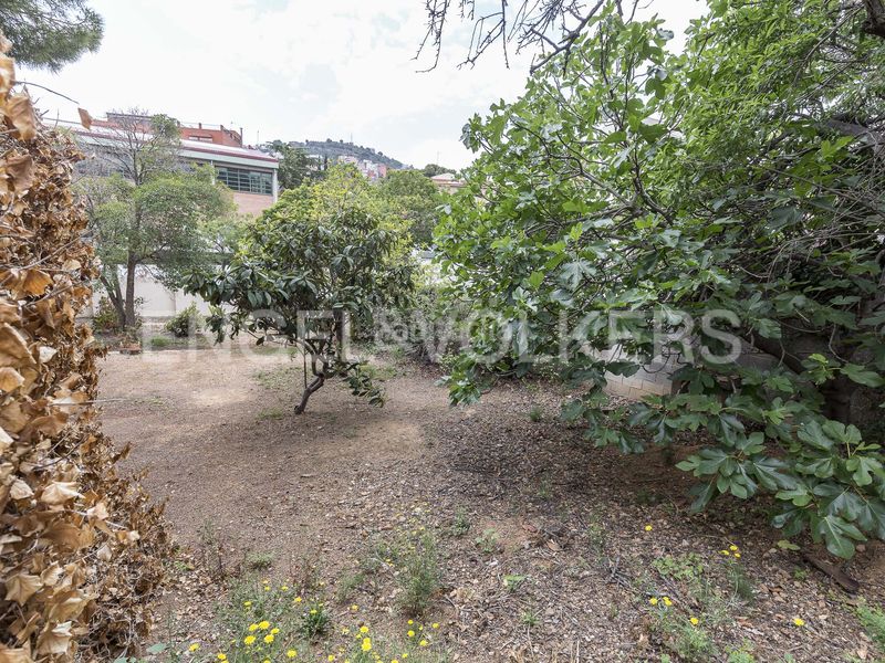 Foto a21e6e04-1ce9-470e-9456-6ac73ee4849c. Terreny residencial a Horta Barcelona