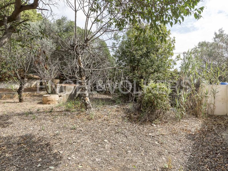 Foto fae27fe8-71e6-4823-b38c-d5a0c5ae8296. Terreny residencial a Horta Barcelona
