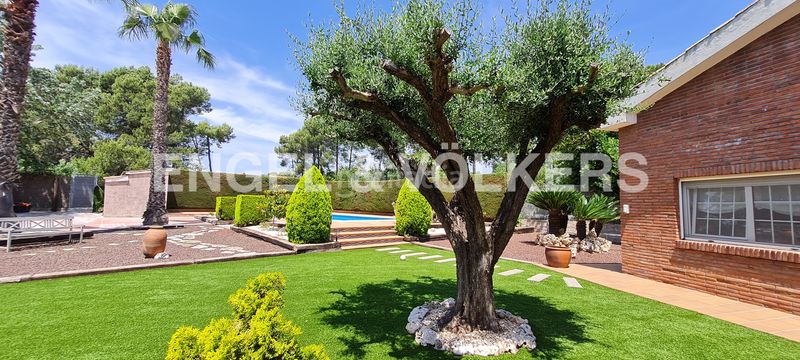 Foto 11fe5838-38de-4f6a-9390-9e4d779ea377. Casa amb calefacció aparcament piscina a Pallejà