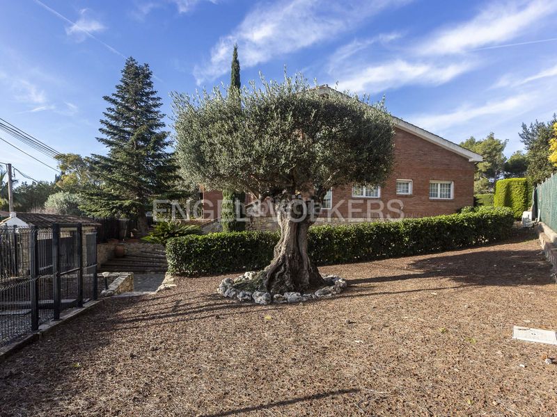 Foto ebc4c1ff-1060-4a22-8bb7-6378d0318fc8. Casa amb calefacció aparcament piscina a Pallejà