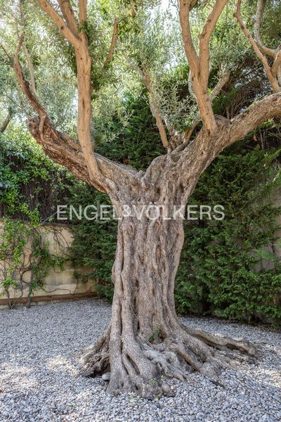 Foto a9c75388-f0ce-416b-99db-35d0a70a26df. Casa excepcional casa en el Arxiu de sant cugat en Sant Cugat del Vallès