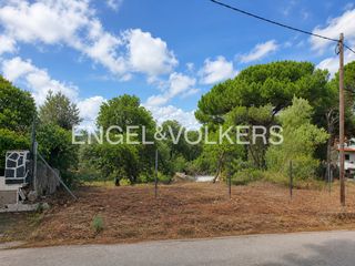 Terreny residencial a Mas Mora-Sant Daniel