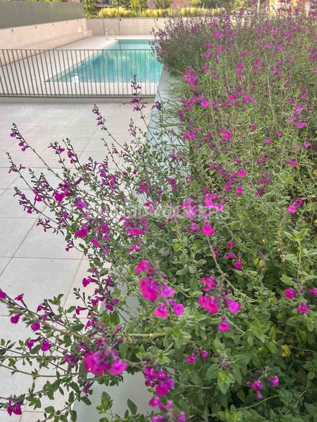 Foto 45e6b91a-e209-44eb-8252-f015ed3bd051. Rent flat with heating parking pool in Can Roca Terrassa