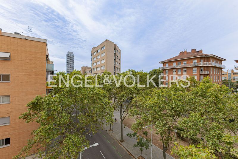 Foto 02db893c-3f14-435b-91ff-f4ee70ece22b. Lloguer pis amb calefacció aparcament piscina a La Vila Olímpica del Poblenou Barcelona