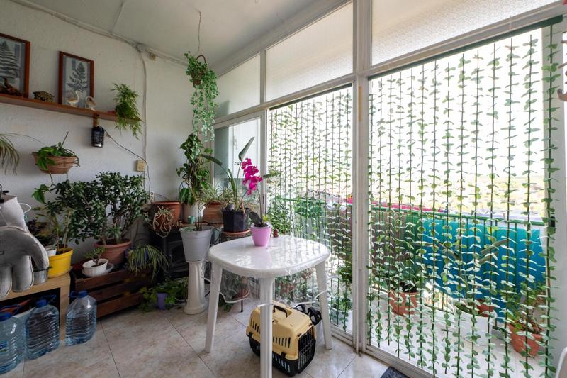 Foto 5cb8a53c-1e43-4948-afcc-bc7fc3a91092. Piso tu nuevo hogar , a un paso del parque polivalente francesc masia! en Malgrat de Mar