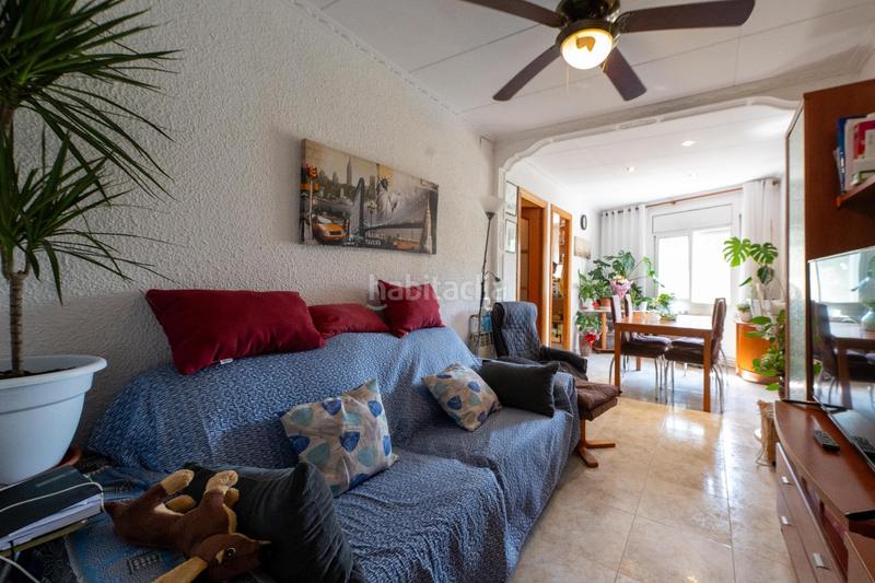 Foto 730c4626-9b96-4436-b635-292c562cf35c. Piso tu nuevo hogar , a un paso del parque polivalente francesc masia! en Malgrat de Mar