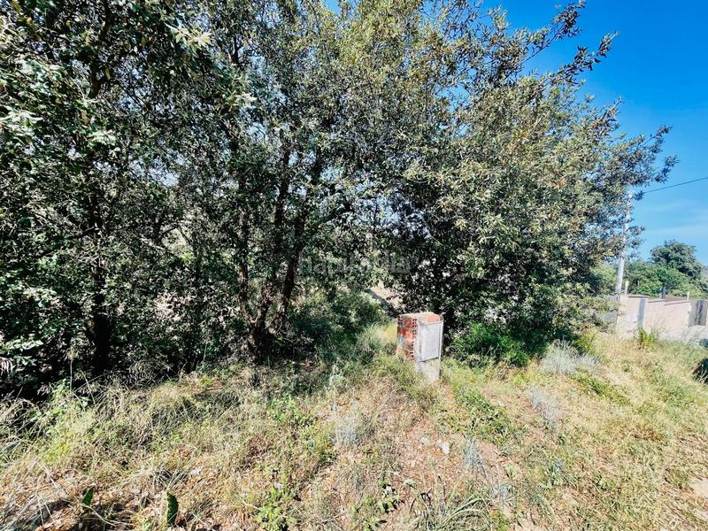 Foto 0083c27e-d991-4a89-a937-e7fc3b027889. Terreny residencial a residencial Blanes - vistamar Blanes