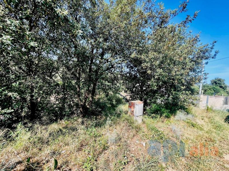 Foto f82a9ff9-d5b9-4ece-847f-68763ec021e9. Terreny residencial a residencial Blanes - vistamar Blanes