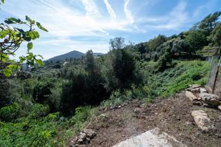 Finca rústica a Tordera. Se vende terreno agrícola en tordera  10.176 m
