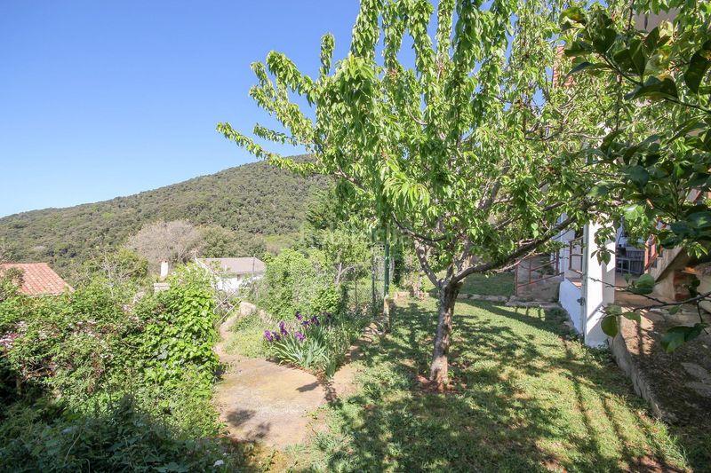 Foto 2e476791-8740-4967-92e4-666bd7b63fed. Chalet casa con vistas al mar, amplio jardín con frutales y pozo propio en Sant Iscle de Vallalta