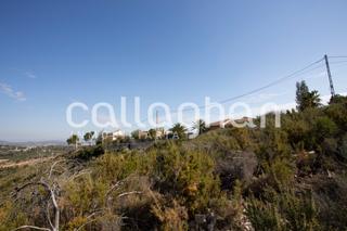Terreny residencial  Calle barcelona. Parcela de 1.240 m ubicada en la urbanización sierra perenchiza