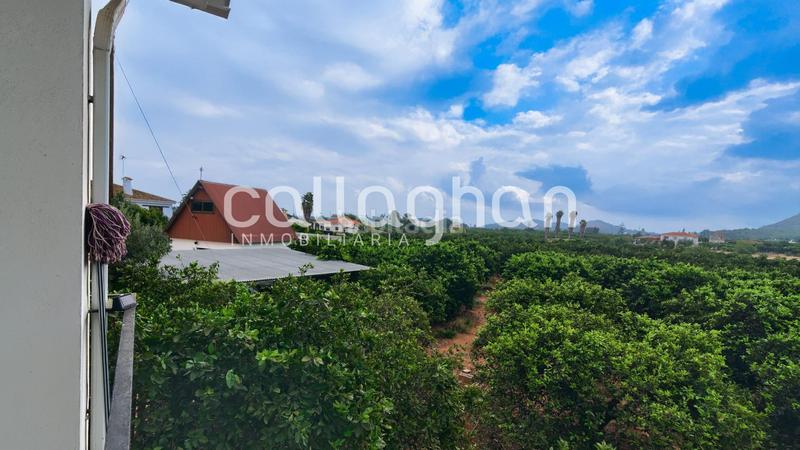 Foto fbad832a-2e83-41d3-a3b6-7f929e0da1ae. Chalet  en plena naturaleza en Urbanitzacions i Pedanies Nord Alzira