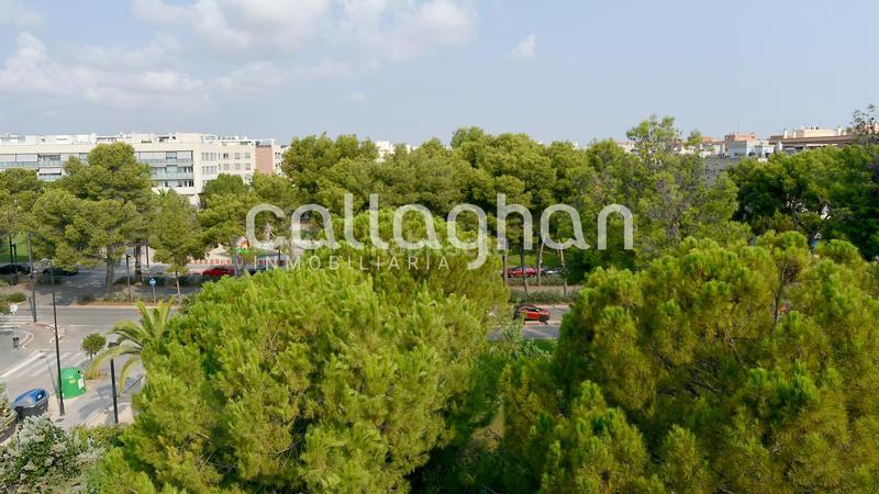 Foto c11674e9-9429-4e80-93cd-5e4fd3e15530. Attico con riscaldamento parcheggio in Zona Avenida Alta - Auditorio Torrent