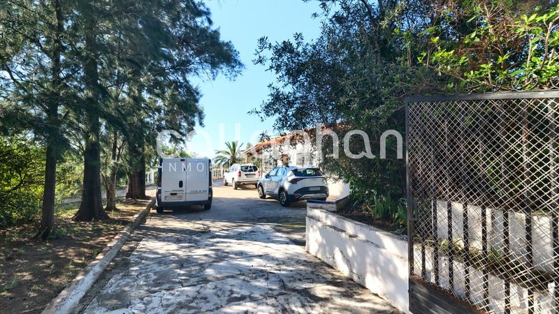 Foto 04c5b7e5-bbdc-4701-8885-9d635aff6bee. Chalet  independiente en una parcela de 2.830 m2 en Alzira