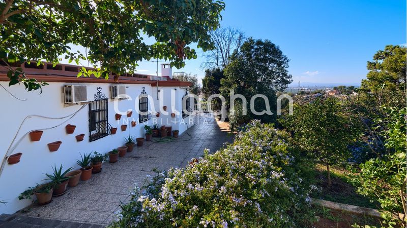 Foto 96656d13-e570-4d0f-8ed4-261d85cfb854. Chalet  independiente en una parcela de 2.830 m2 en Alzira