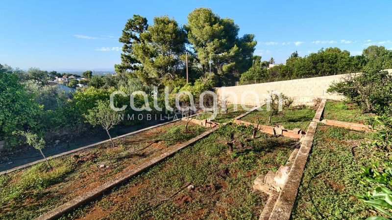 Foto b650a6da-aa7a-4f40-b8fc-e9f8adf0205d. Chalet  independiente en una parcela de 2.830 m2 en Alzira