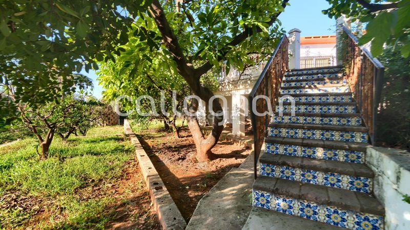 Foto fcfa26ae-287f-4451-b0f9-65bc0b30cd73. Chalet  independiente en una parcela de 2.830 m2 en Alzira