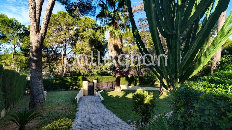 Foto 81c41c26-6168-4f36-a9c4-a23c9f16aae1. Chalet con riscaldamento parcheggio piscina in Picassent