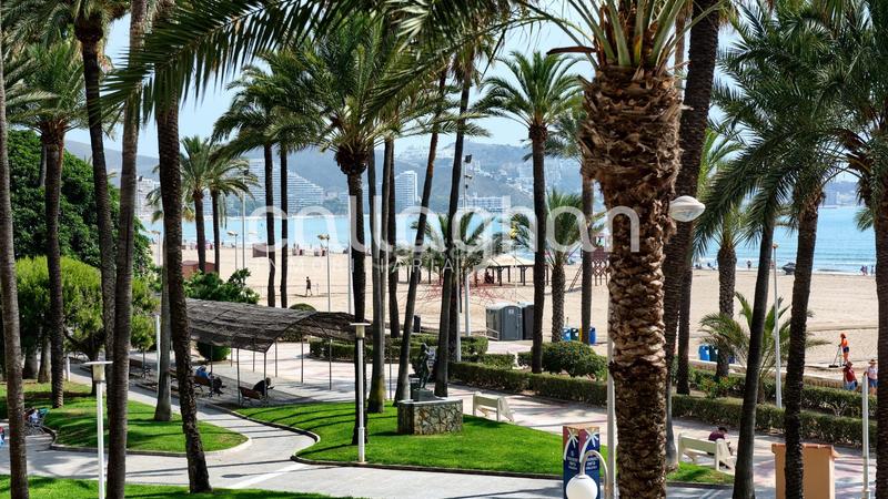 Foto 6c4d6a9b-9c78-4714-844a-be0465c3beba. Appartement dans Sant Antoni Cullera