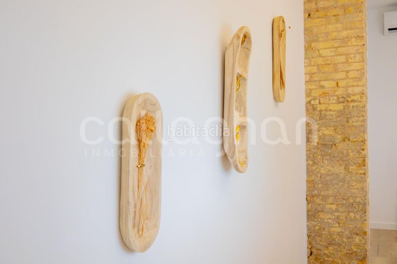 Planta baja acogedora vivienda en el corazón de ruzafa en Valencia - Imagen 36