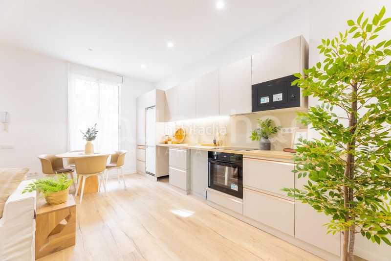 Planta baja acogedora vivienda en el corazón de ruzafa en Valencia - Imagen 5