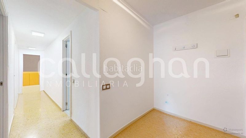 Foto 031a7d6e-e300-4e4c-bea3-c58789546820. Pis a L´Amistat Valencia