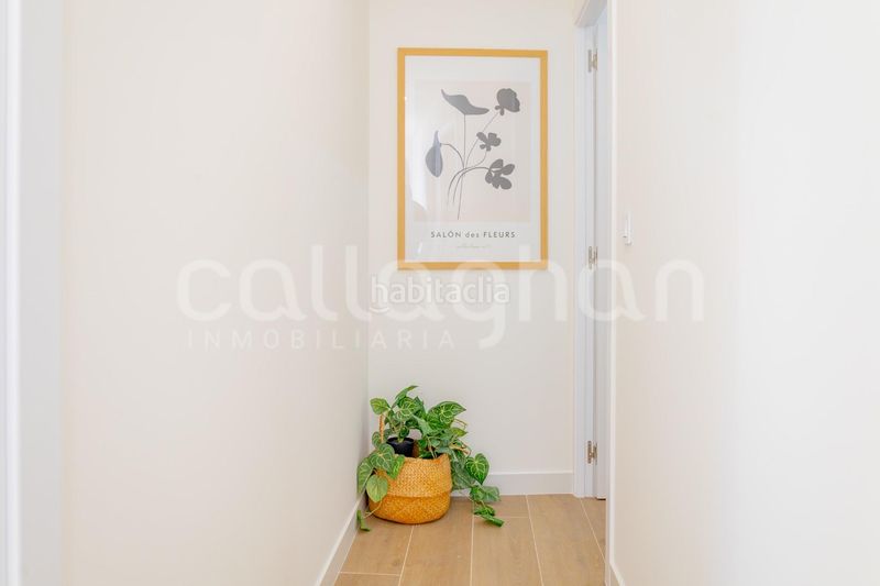 Foto 4d3ea515-f102-4f4f-bc1b-68a0f8a4abba. Pis a Centro Burriana