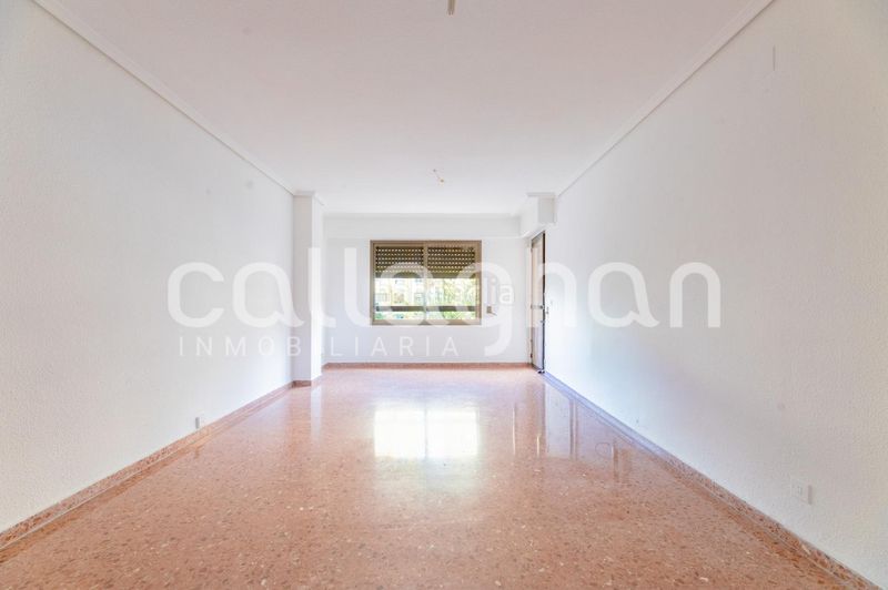 Foto 18c1d82c-9376-4265-8f57-1db699add7fe. Pis a Arrancapins Valencia