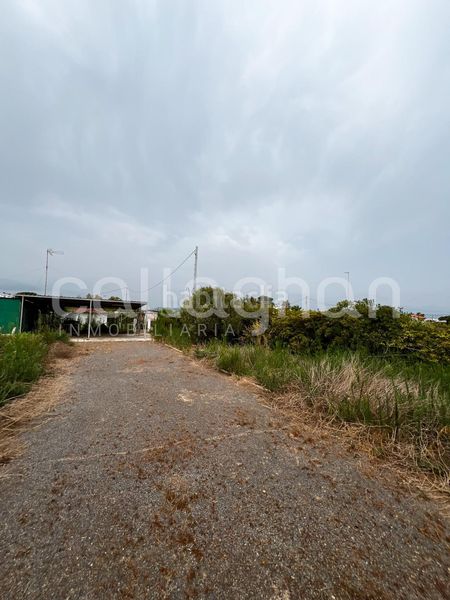 Foto 5f605b32-eae6-4499-aea7-c6796e006638. Wohngrundstück in Almenara