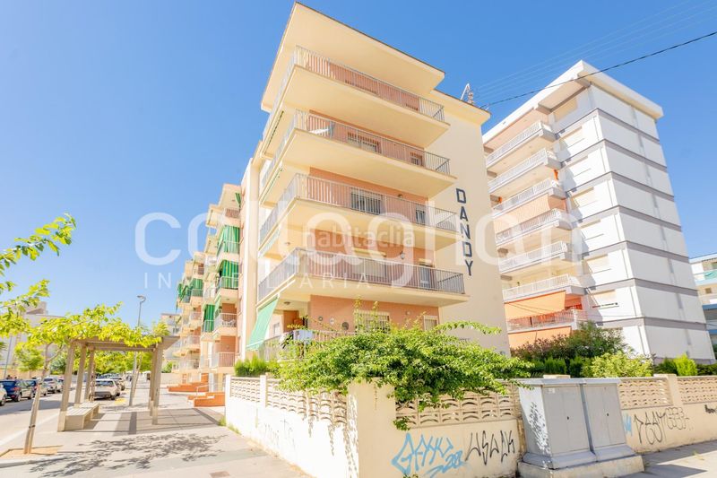 Foto 962e3737-9122-4d02-8755-7ed4741a8785. Piso vivienda en venta en castella la manxa en Playa de Gandía Gandia