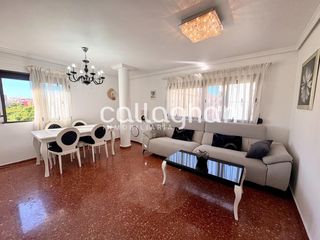 Rent Duplex in Zona Concordia