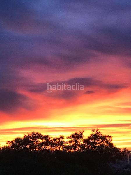 Foto 2159477e-e6ca-41f1-82c4-c7b12fc995cf. Chalet majestuosa villa a la venta en Los Balcones-Los Altos Torrevieja