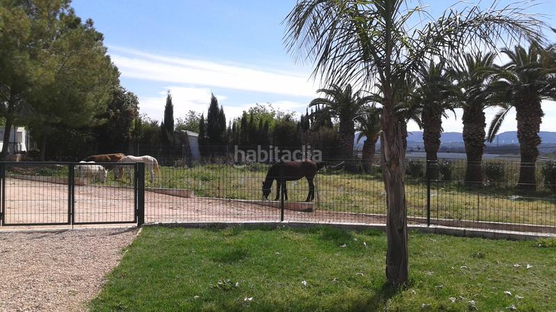 Foto 0f7b1480-fee0-4e21-b912-d2d8ad7a60d4. Masía finca rustica del lago, una propiedad exclusiva en Alzira