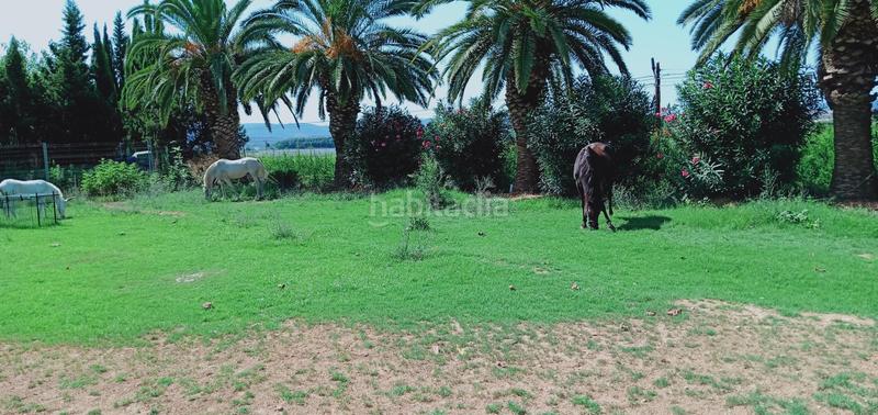 Foto 36d62532-dcbf-44fc-b409-91d445ede8c4. Masía finca rustica del lago, una propiedad exclusiva en Alzira