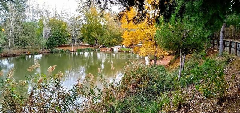 Foto 587ee1ee-8b6f-44d4-b5e2-33138e8704c2. Masía finca rustica del lago, una propiedad exclusiva en Alzira