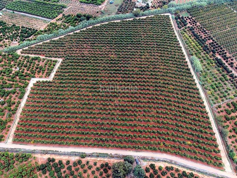 Foto 895c363f-ae7e-46a2-b926-1f51ca097811. Masía finca rustica del lago, una propiedad exclusiva en Alzira