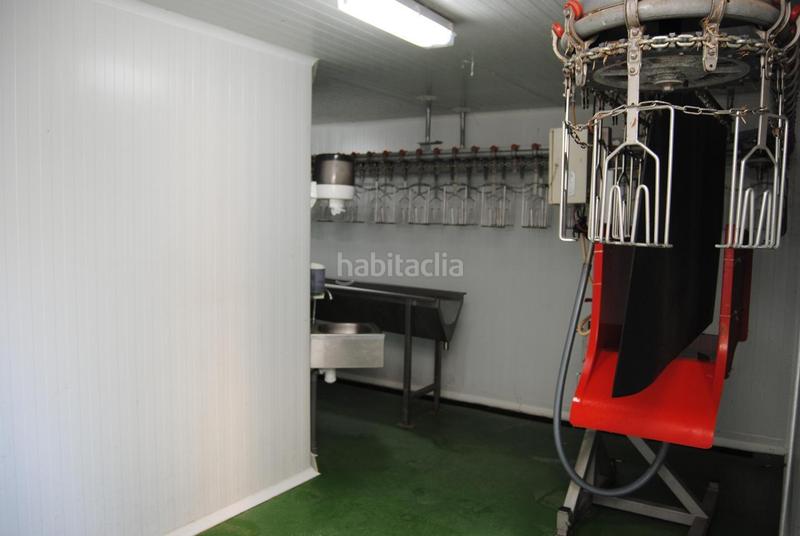 Foto 8ed21745-09c7-4391-880f-e54a8b61cfa5. Masía finca rustica del lago, una propiedad exclusiva en Alzira