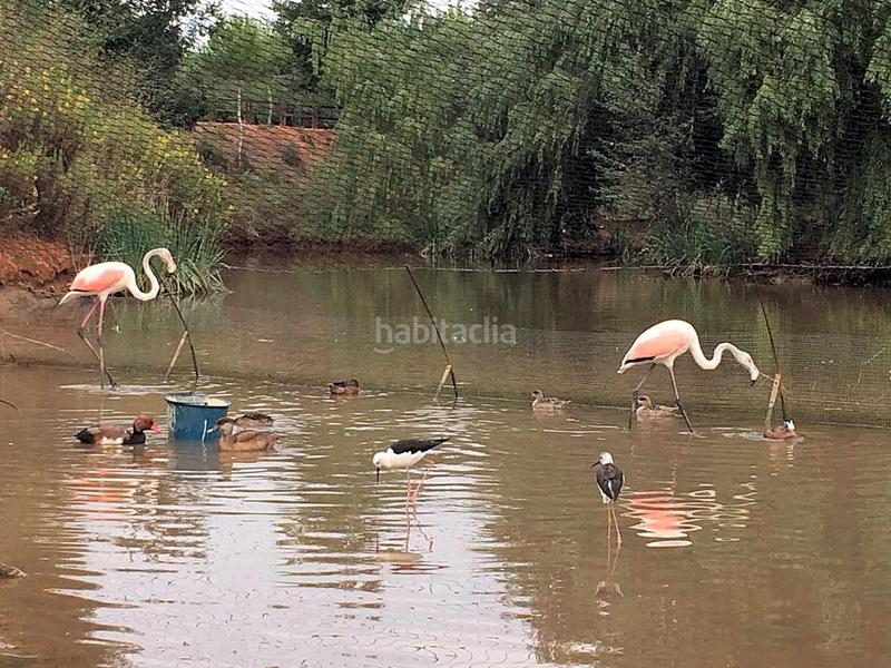 Foto 9a54d31f-f08c-4fa2-ace0-64a30cb50f86. Masía finca rustica del lago, una propiedad exclusiva en Alzira